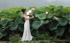 av狼论坛开放注册